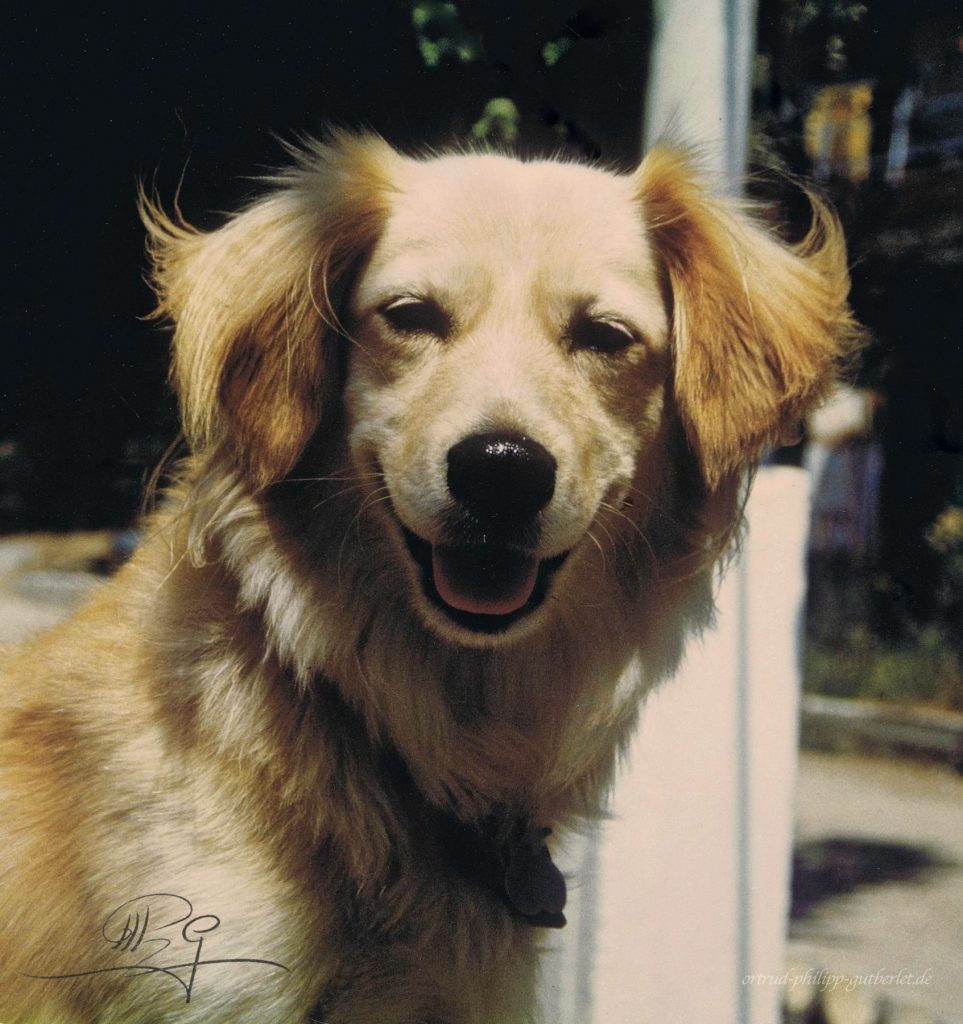 Von Nelli lernte ich Menschlichkeit